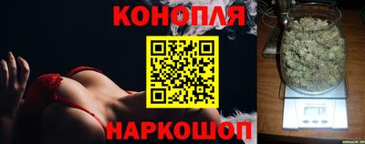 spice Рязань