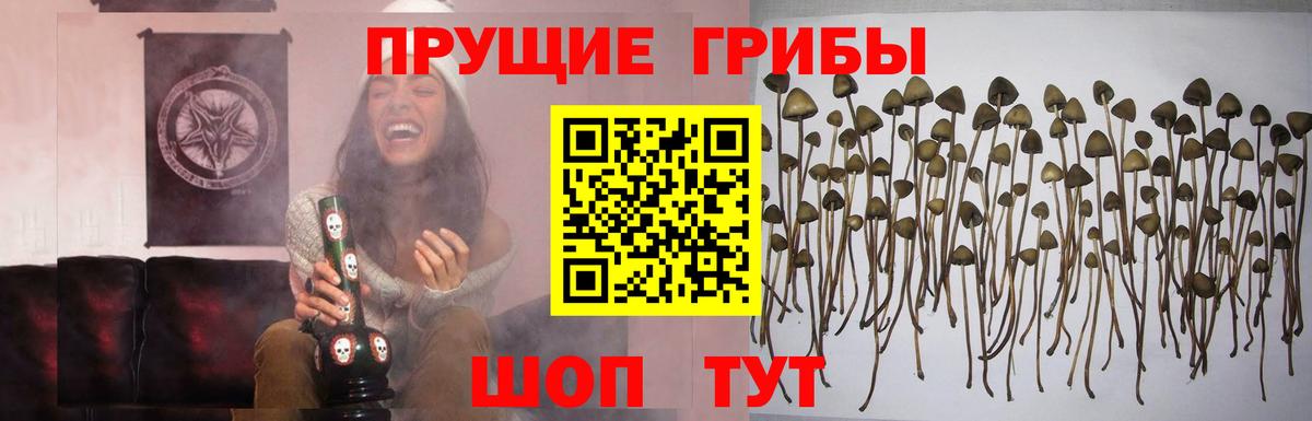как найти закладки  Псилоцибиновые грибы мухоморы  Вход с VPN  Артёмовский 